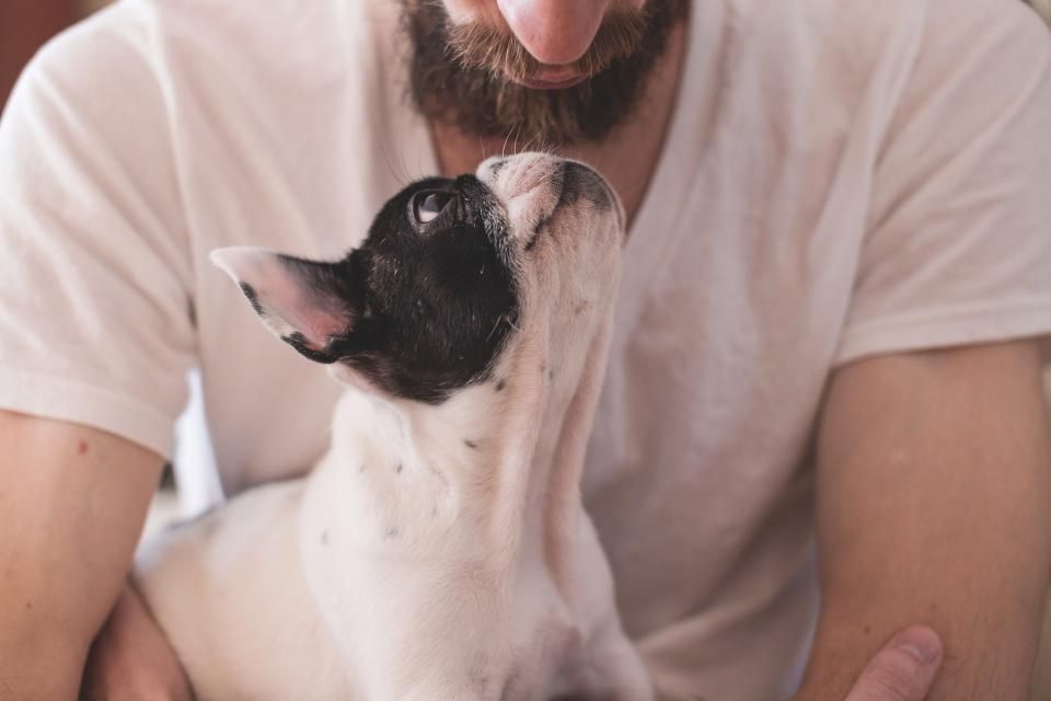 Persona abrazando a su perro de familia
