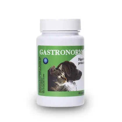 Gastronorm